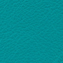 Aquatic