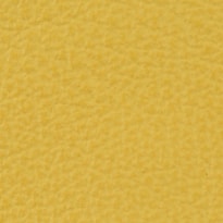 Canary