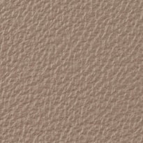 Clay