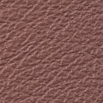 Dull Purple