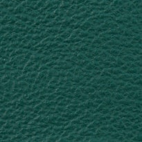 Green Ray