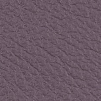 Lavanda
