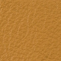 Yam