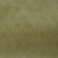 Plaza Taupe