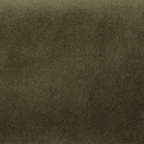 Taupe Gray